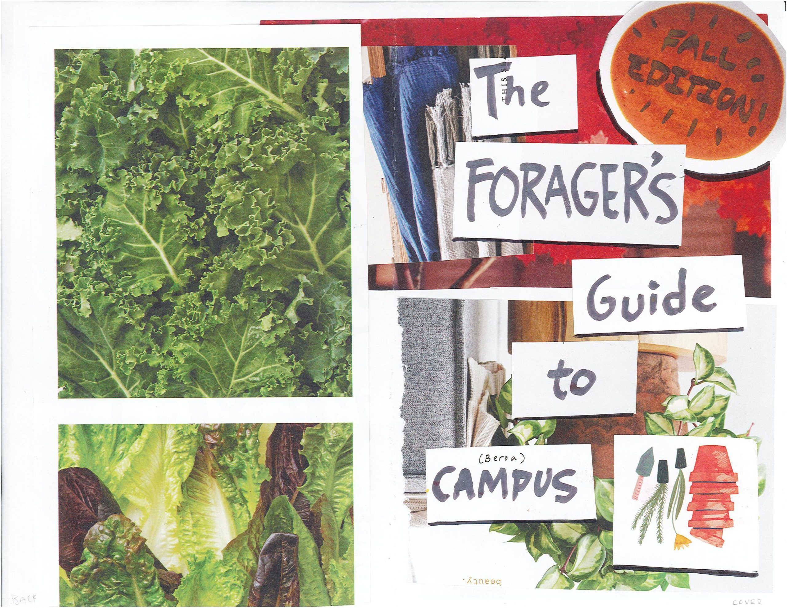 The cover of the zine "The Forager's Guide to Campus Fall Edition" with images of plants