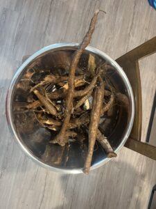 Kudzu roots in a pot